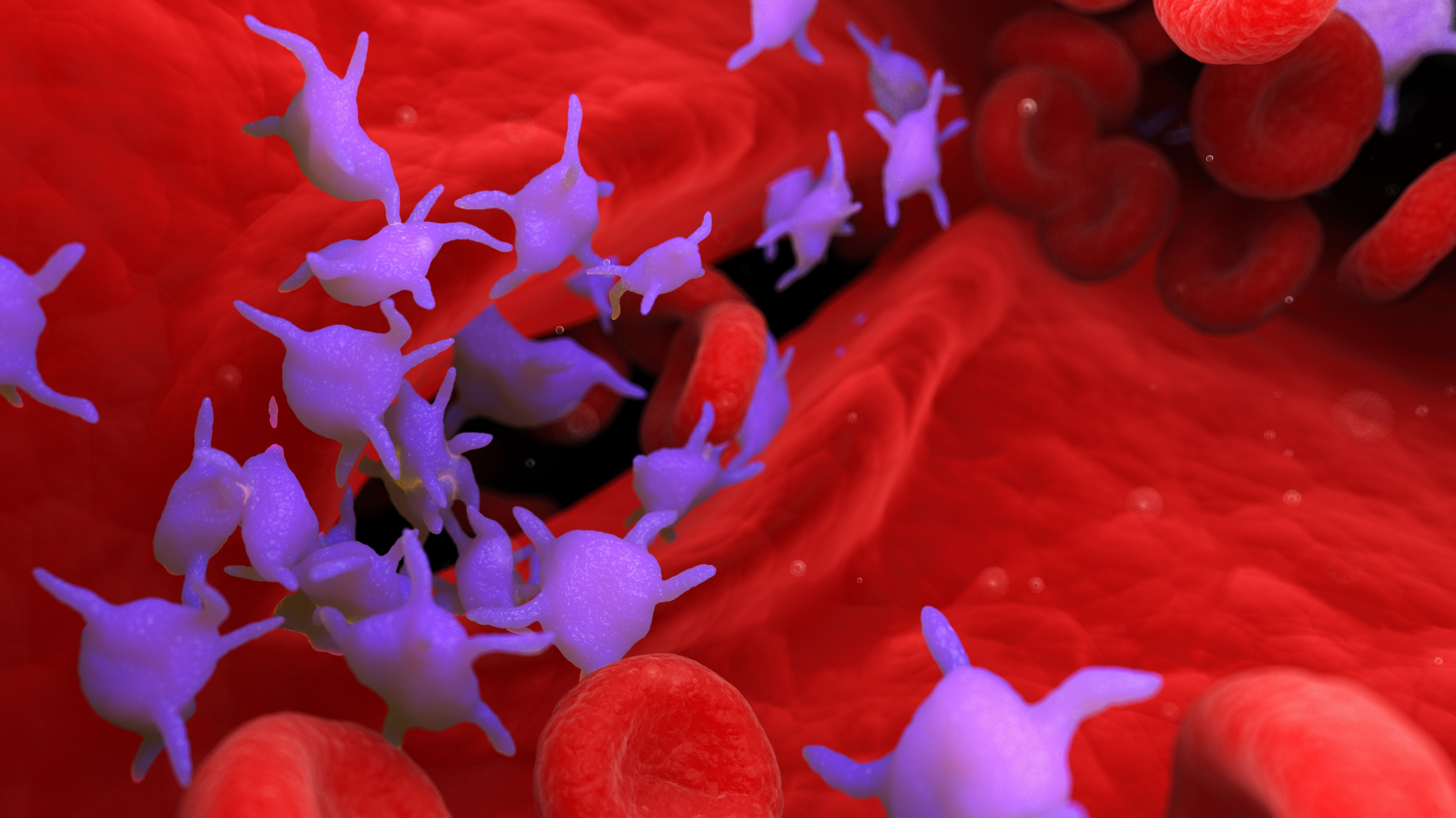 understanding PRP
