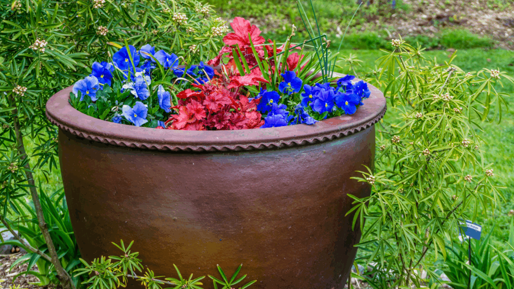 flower gardening without lumbar degenerative disc disease