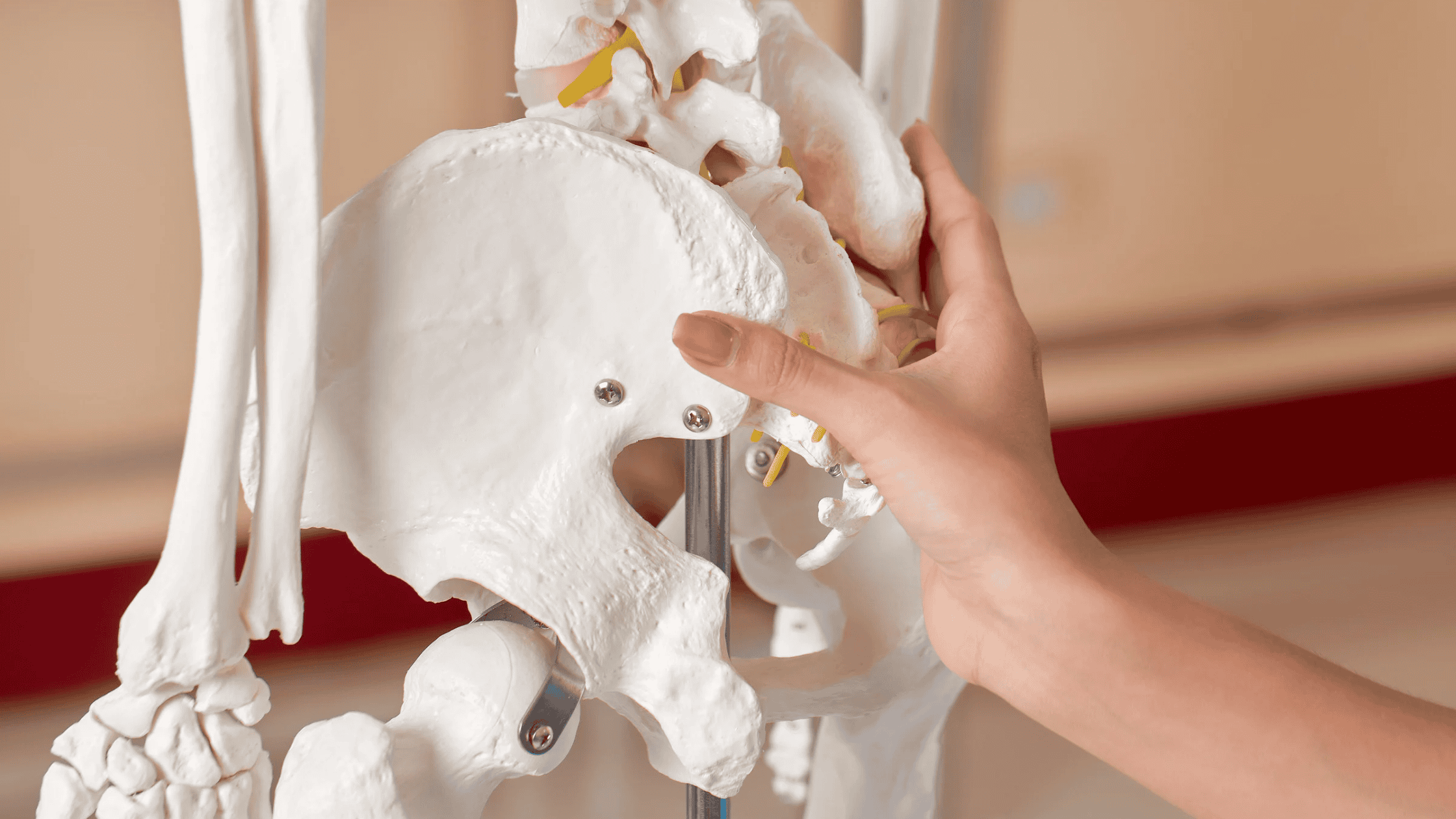 regenerative cell therapy